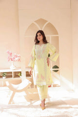 2 Piece – Embroidered Cotton Suit 29 - Nishat Creative Store