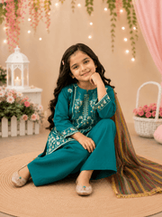 Girl Embroidered Fancy Suit